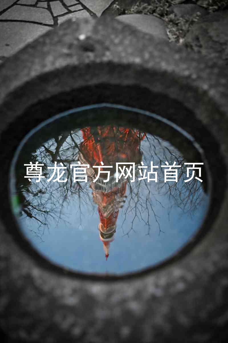 尊龙官方网站首页